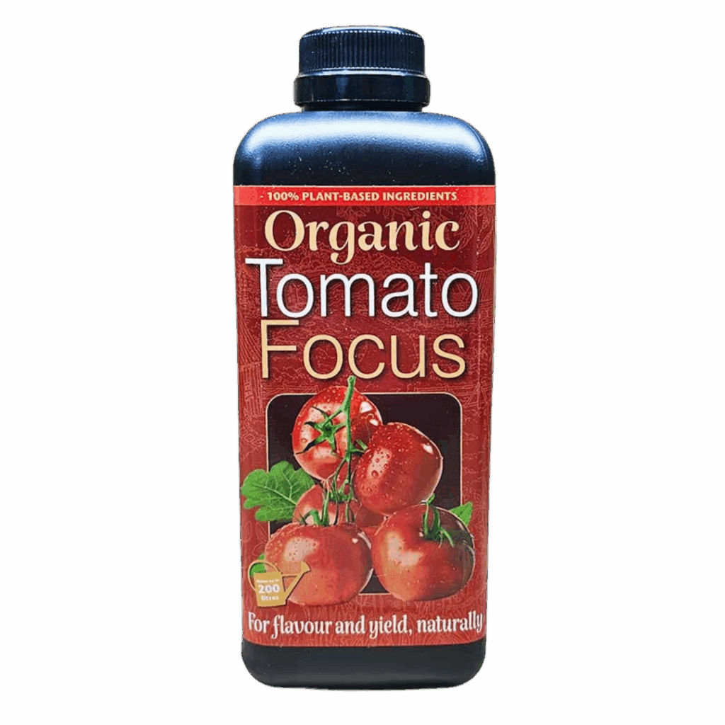 Organic Tomato Focus