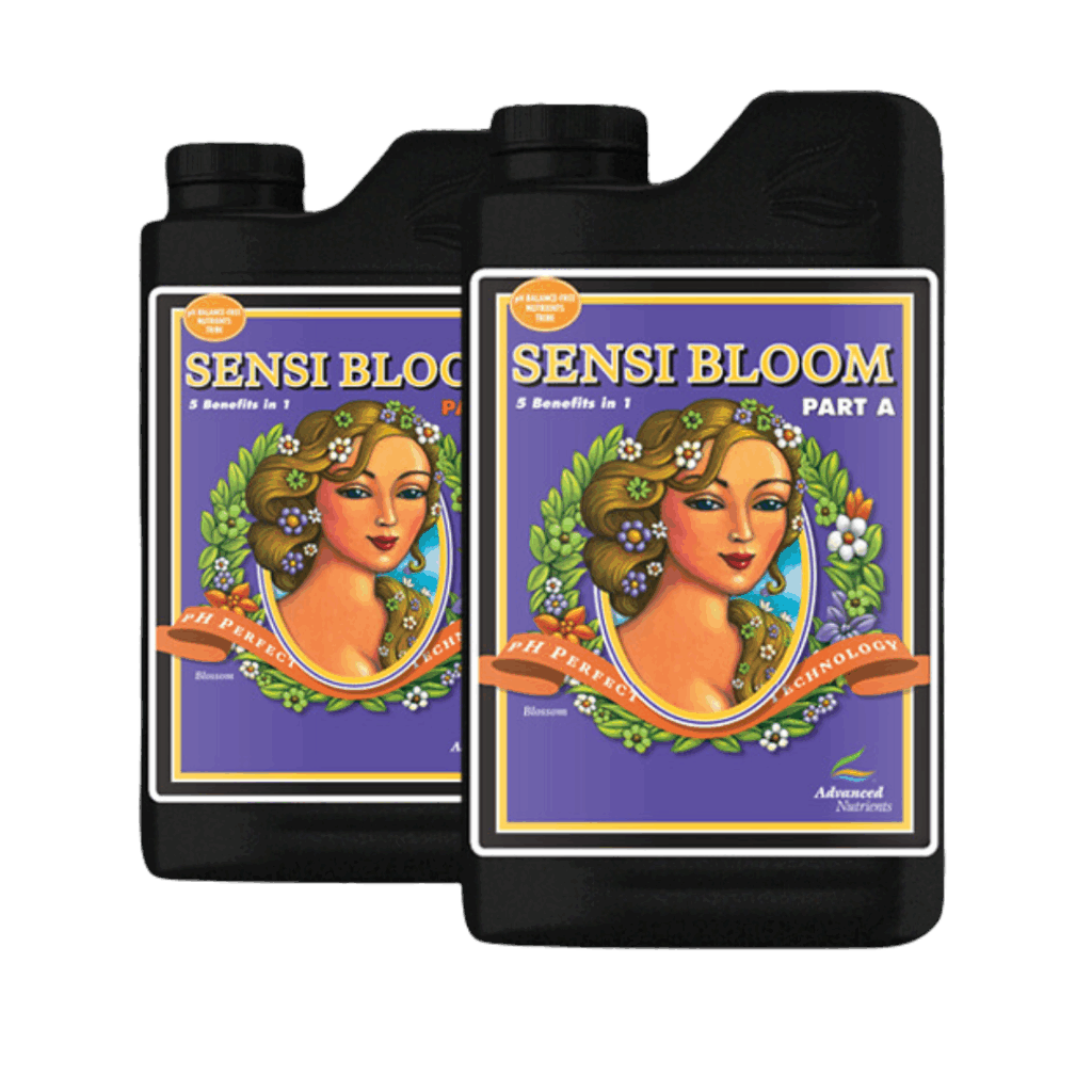 Sensi Bloom A&B