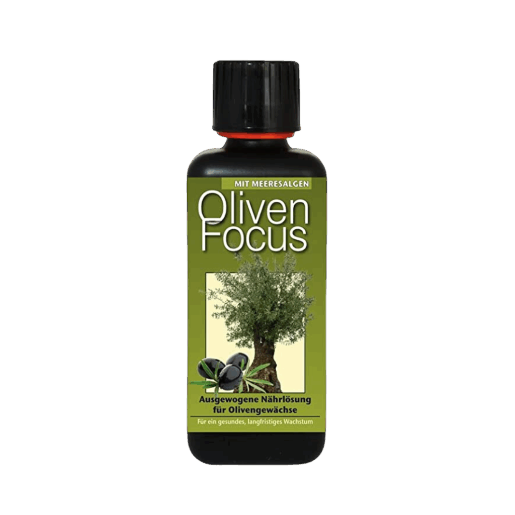 Olivfokus 1L