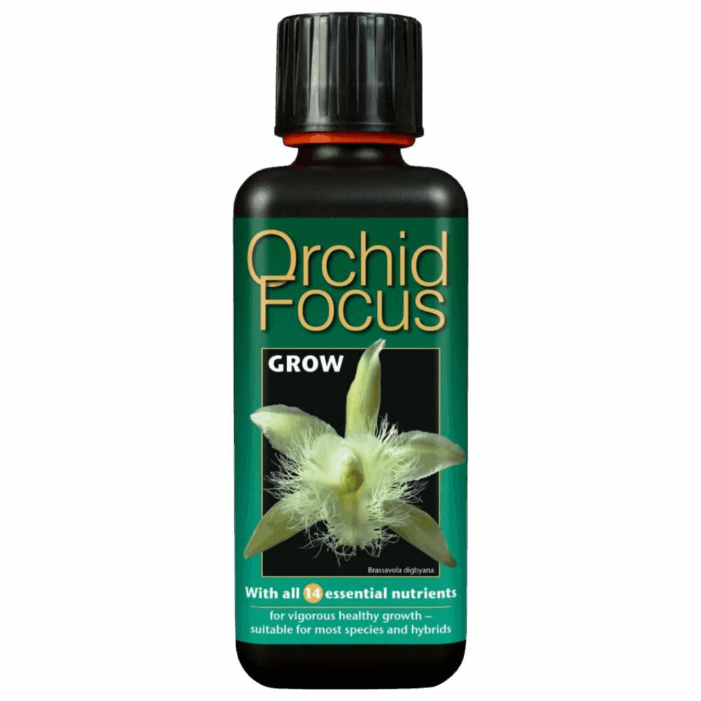 Growth Technology - Orkidéfokus