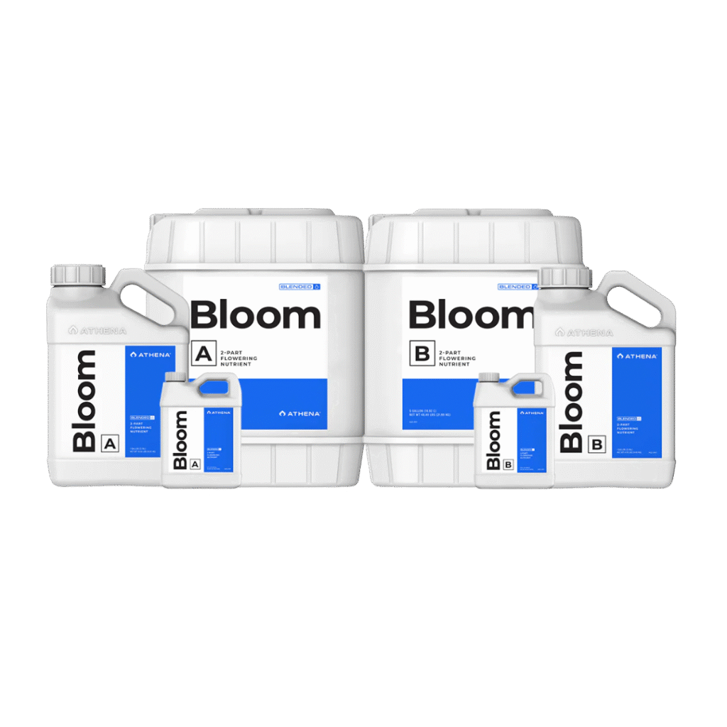 Bloom A+B