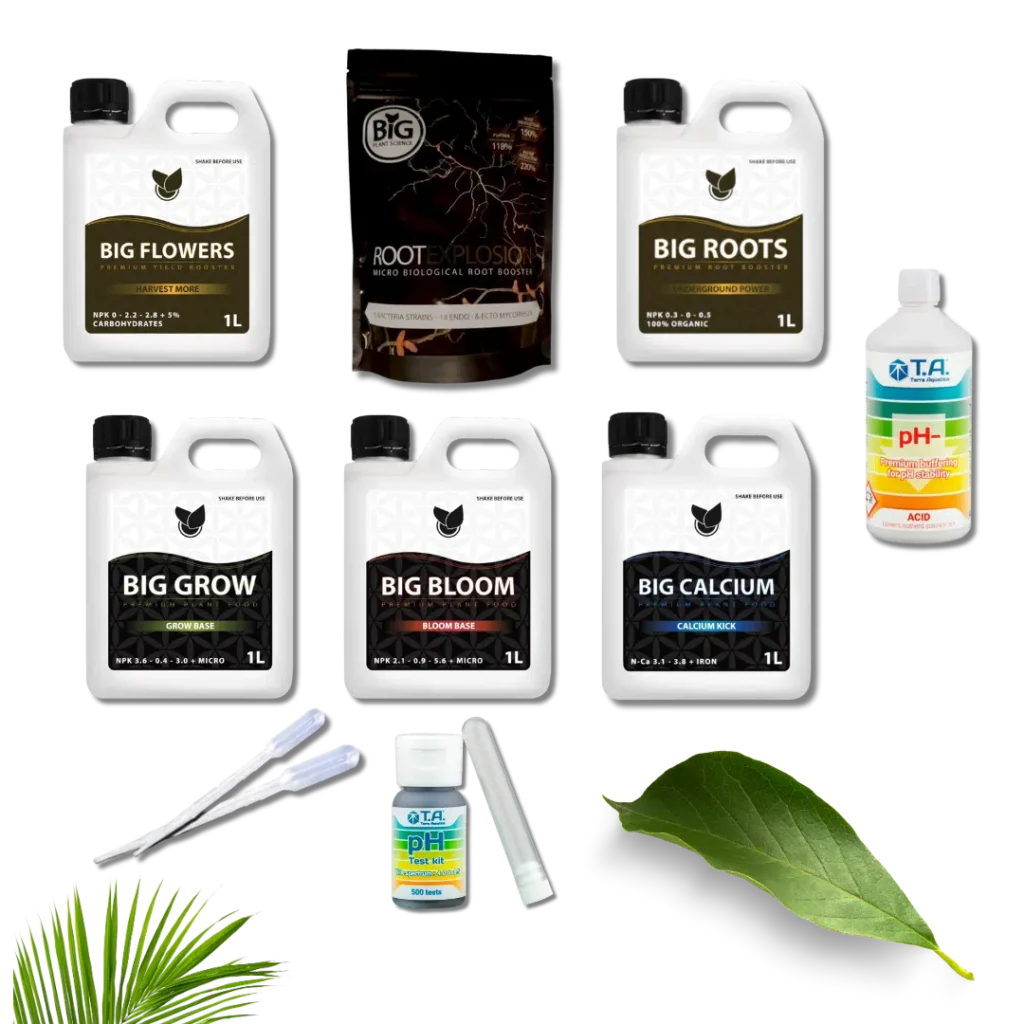Komplett Basic Kit Startpaket – Big Plant Science