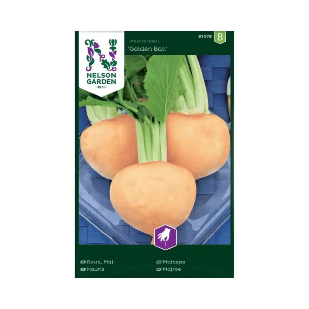 Majrova ‘Golden Ball’