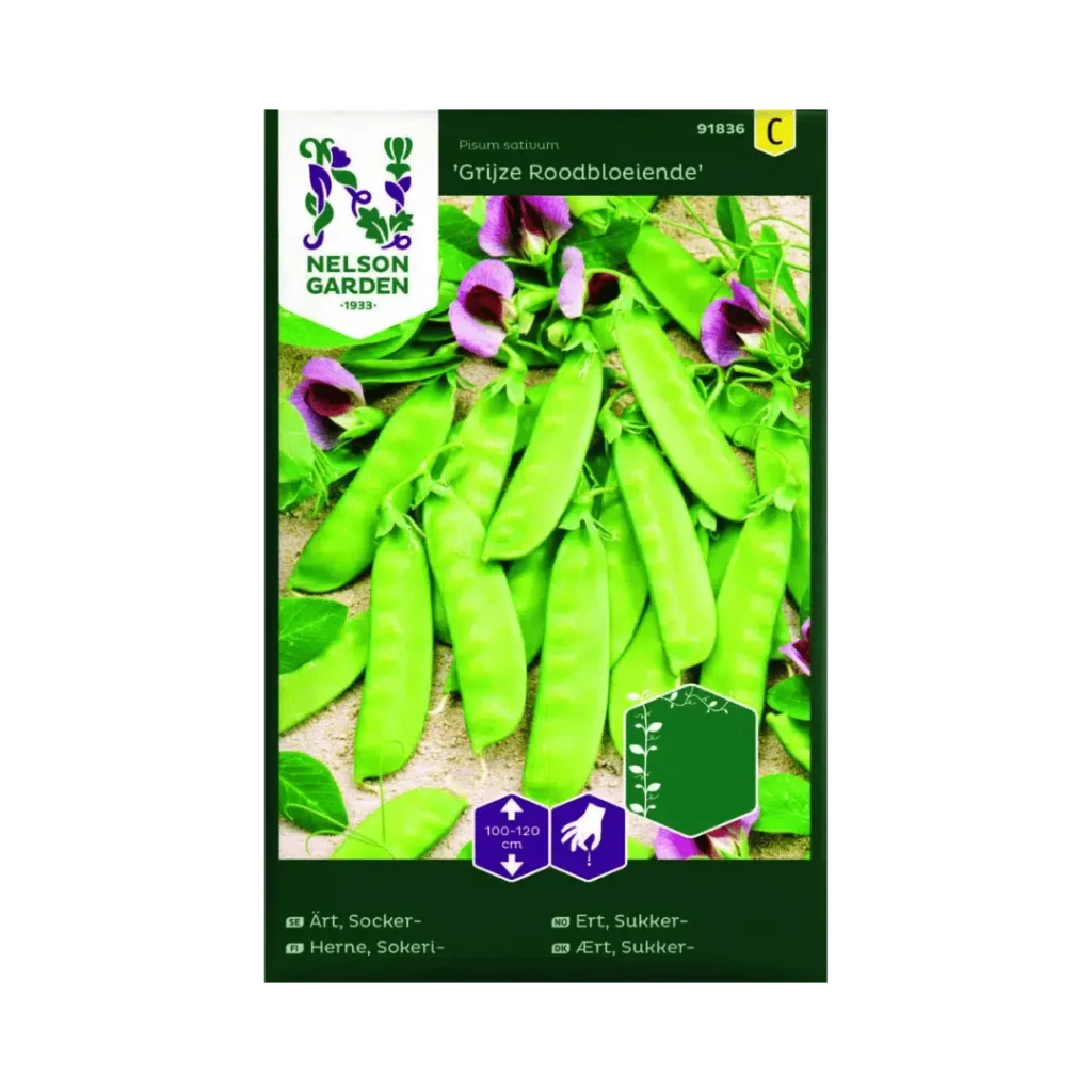 Sockerärt – Grijze Roodbloeiende