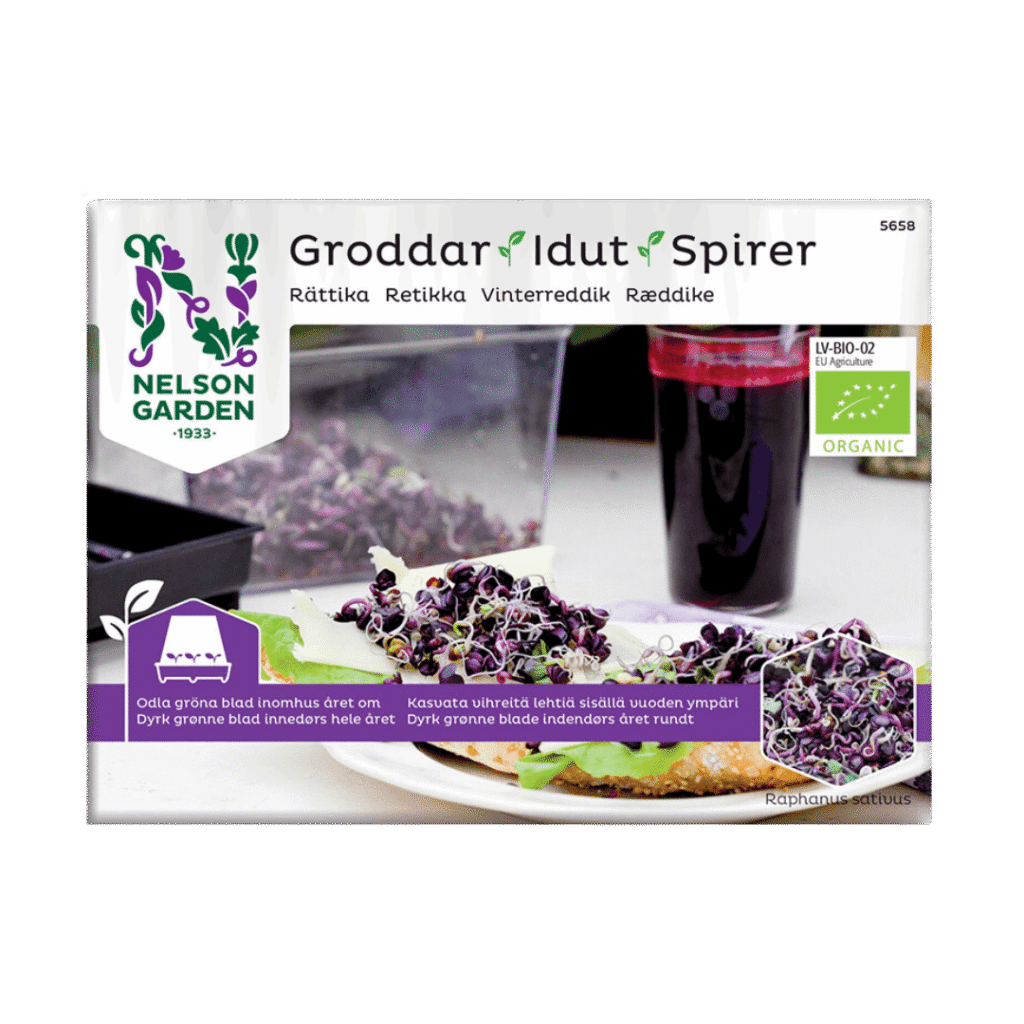 Rättiksgroddar