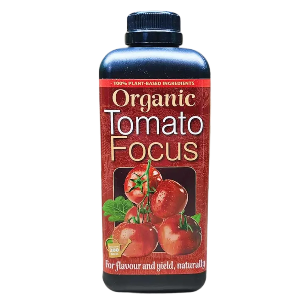 Organic Tomato Focus