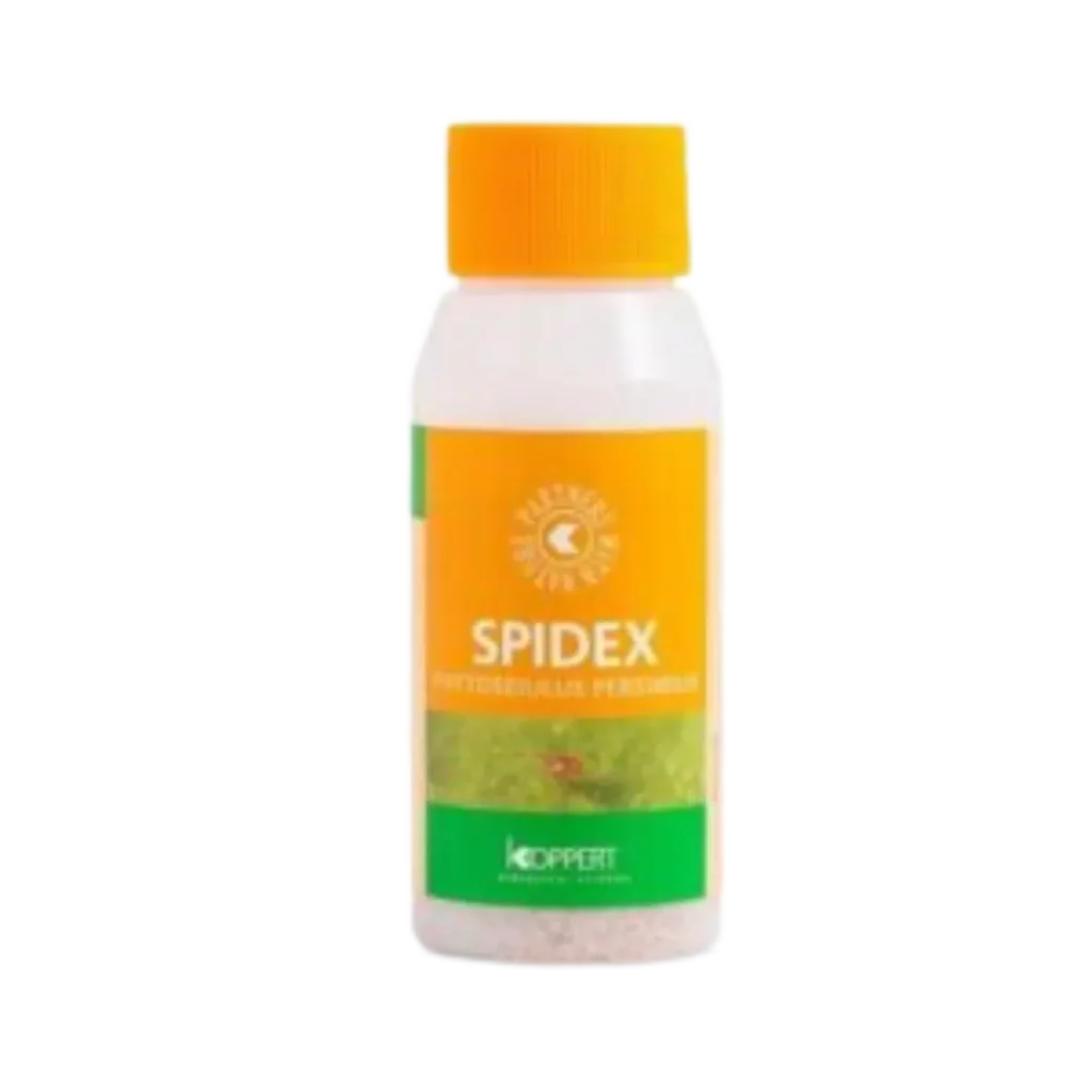 Spidex 2000 st - mot spinnkvalster