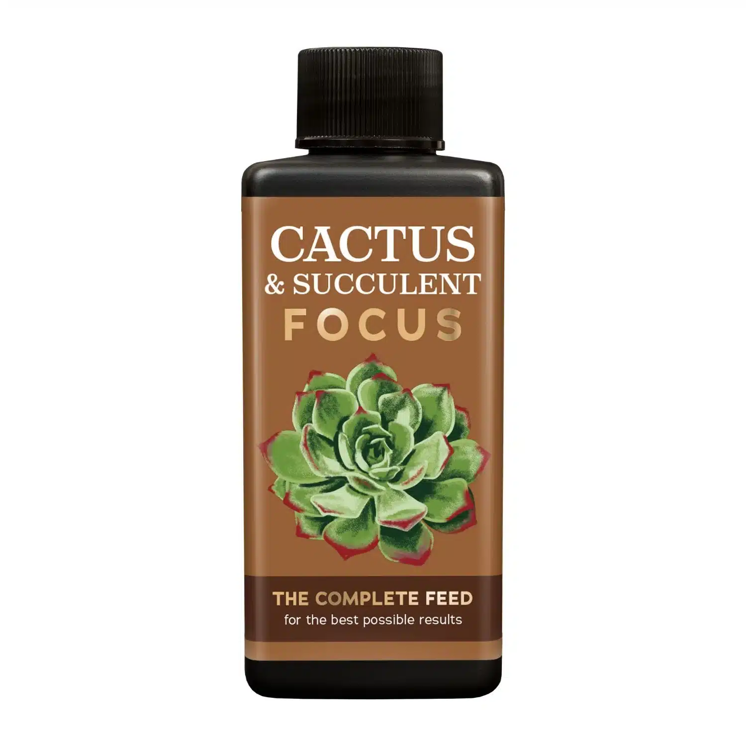 Cactus_Succulent_Focus_Houseplant_Feed