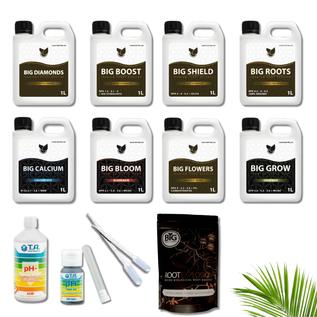 Big Plant Science - Komplett kit